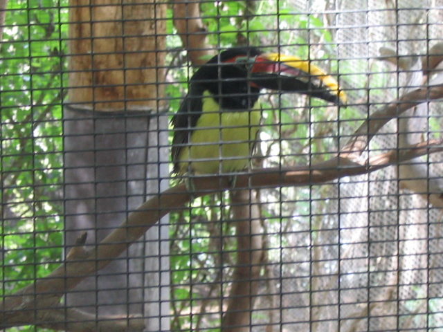 618x457 pixels (205K)